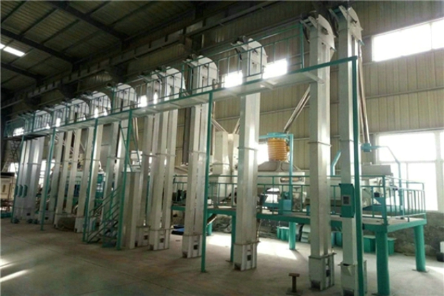 大米生产线 大米生产线